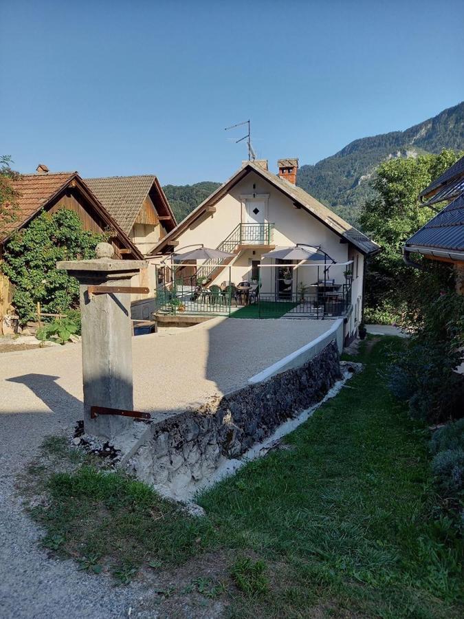 Holiday Home Alojzija 布莱德 外观 照片