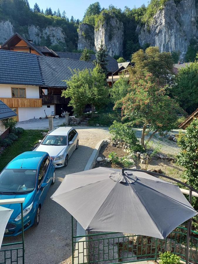 Holiday Home Alojzija 布莱德 外观 照片